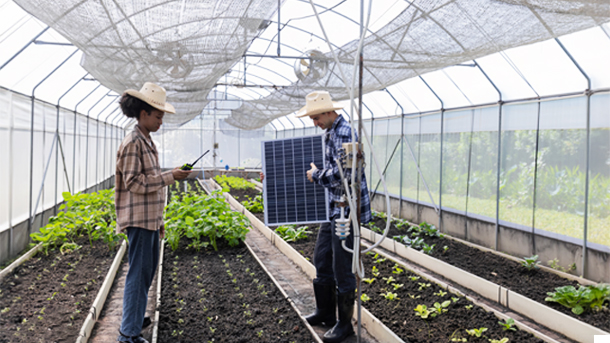 agricultural-&-rural-solar-solutions